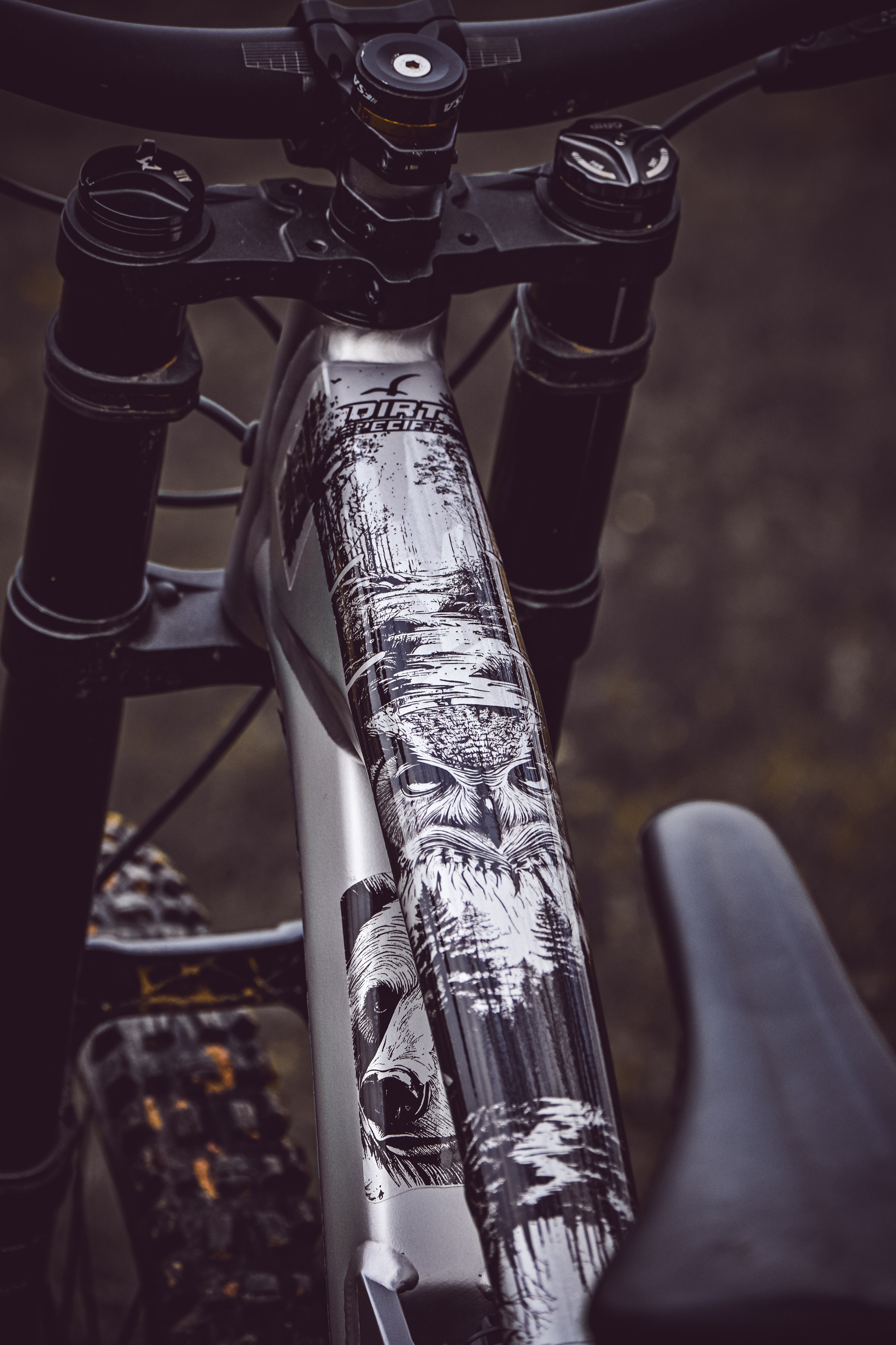 Carbon Bike BMX Bicycle Frame Custom Painted Loose Cannon